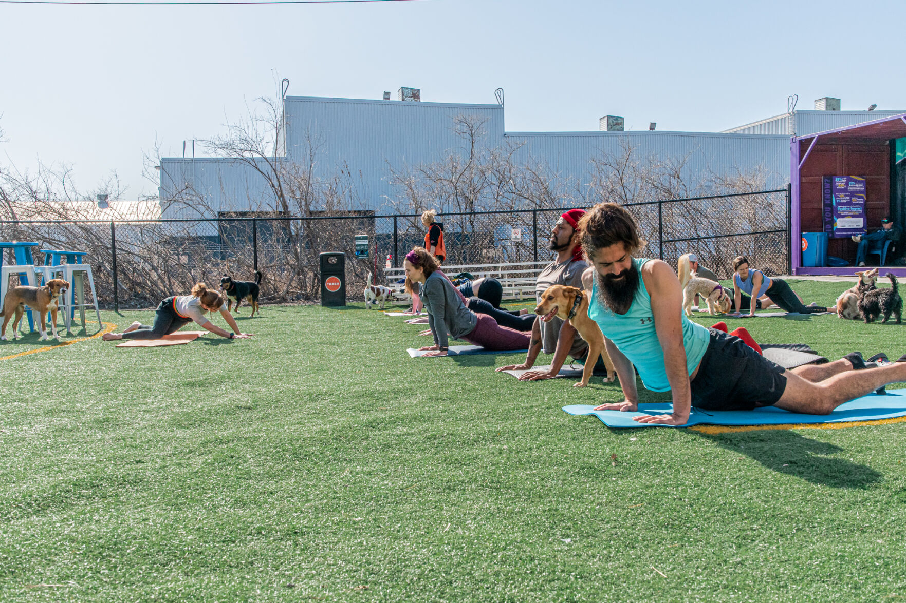 Yoga With Man’s Best Friend